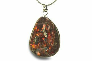 Brilliant Ammolite Pendant (Necklace) - Alberta, Canada #282473