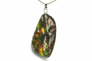 Brilliant Ammolite Pendant (Necklace) - Alberta, Canada #282474