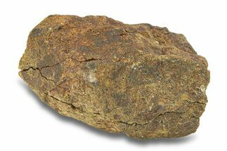 Gold Basin Chondrite Meteorite ( g) - Arizona #282753