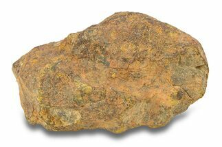Gold Basin Chondrite Meteorite ( g) - Arizona #282757