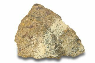 Gold Basin Chondrite Meteorite ( g) - Arizona #282761