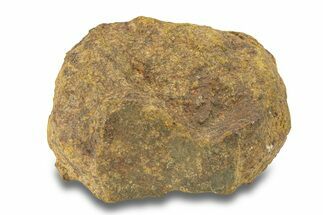 Gold Basin Chondrite Meteorite ( g) - Arizona #282762