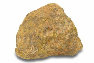 Gold Basin Chondrite Meteorite ( g) - Arizona #282767