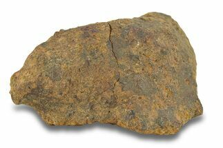 Gold Basin Chondrite Meteorite ( g) - Arizona #282845