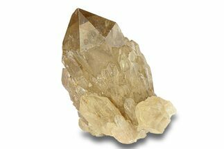 Smoky Citrine Crystal Cluster - Lwena, Congo #282864