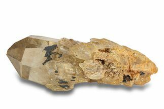 Smoky Citrine Crystal Cluster - Lwena, Congo #282878