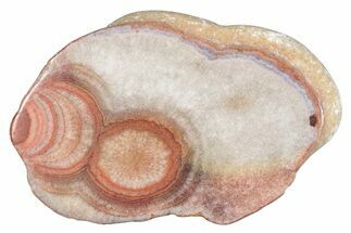 Polished Potato Agate Slice - England #283051