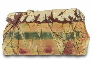 Polished Cherry Creek Jasper - China #283110