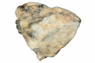 Aubrite Meteorite Fragment - Djoua #283679