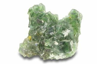 Deep Green Fluorite Cluster with Muscovite - Namibia #284017