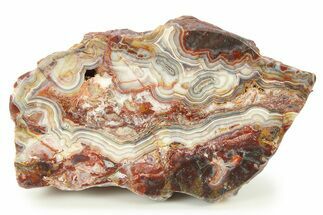 Polished Crazy Lace Agate Section - Mexico #283997