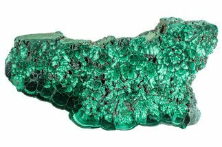 Flowery Polished Malachite Slab - DR Congo #284402