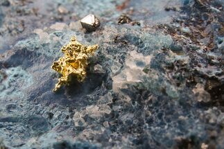 Native Gold in Shattuckite - Namibia #284507