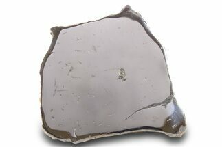 Gebel Kamil Iron Meteorite Slice ( g) - Egypt #284529