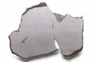 Gebel Kamil Iron Meteorite Slice ( g) - Egypt #284537