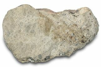 Eucrite Meteorite End Cut ( g) - Jikharra #284833