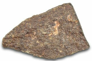 Chondrite Meteorite ( g) - Western Sahara Desert #285363