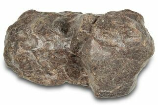 Chondrite Meteorite ( g) - Western Sahara Desert #285370
