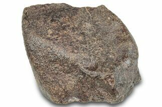 Chondrite Meteorite ( g) - Western Sahara Desert #285371