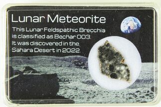 Polished Lunar Meteorite Slice ( g) - Bechar #285293