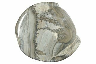 Triassic Aged Stromatolite Fossil - England #285747