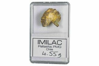 Pallasite Meteorite ( g) Fragment - Imilac #285896