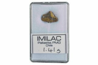 Pallasite Meteorite ( g) Fragment - Imilac #285897