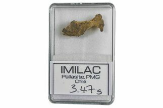 Pallasite Meteorite ( g) Fragment - Imilac #285901