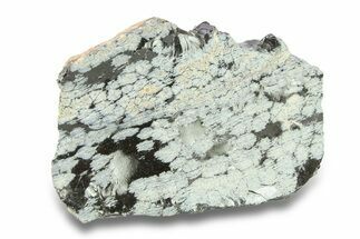 Snowflake Obsidian Section - Utah #285934