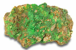 Striking Green Conichalcite Formation - Utah #284977