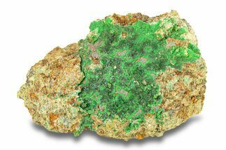 Striking Green Conichalcite Formation - Utah #284979