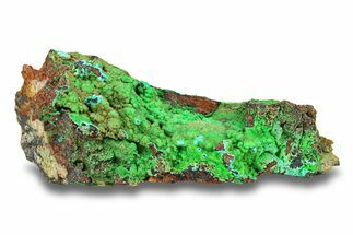 Striking Green Conichalcite on Chrysocolla - Namibia #285061