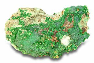 Striking Green Conichalcite Formation - Utah #284976