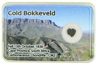 Carbonaceous Chondrite Fragment ( g) - Cold Bokkeveld #285967