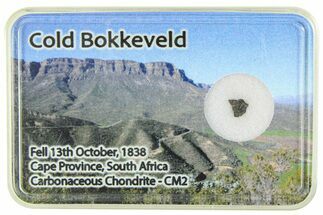 Carbonaceous Chondrite Fragment ( g) - Cold Bokkeveld #285968