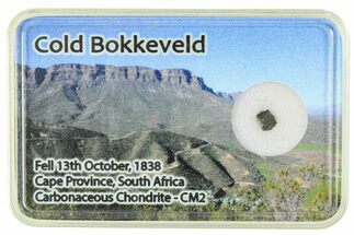 Carbonaceous Chondrite Fragment ( g) - Cold Bokkeveld #285969