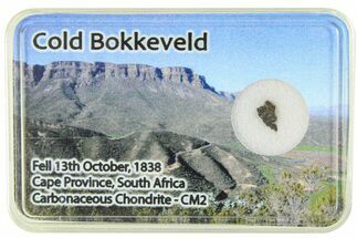 Carbonaceous Chondrite Fragment ( g) - Cold Bokkeveld #285971