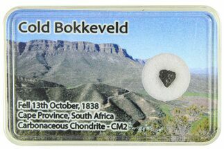 Carbonaceous Chondrite Fragment ( g) - Cold Bokkeveld #285972