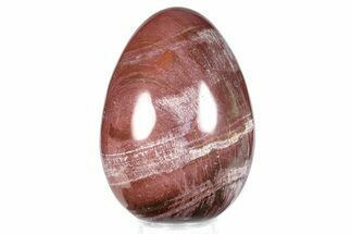Colorful, Polished Petrified Wood Egg - Madagascar #286068