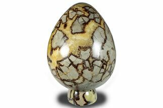 Polished Septarian Egg with Stand - Madagascar #286071