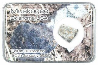 Chondrite Meteorite Hammer Stone ( g) - Muskogee #286106