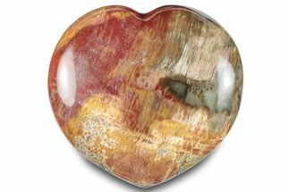 Polished Triassic Petrified Wood Heart - Madagascar #286171
