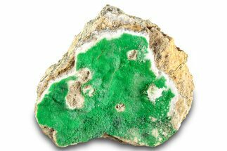 Striking Green Conichalcite Formation - Utah #284970