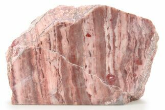 Polished Kona Dolomite (Stromatolite) Section - Michigan #286330