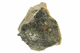 Polished Howardite Meteorite Section ( g) - Bechar #286964