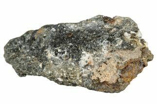 Howardite Meteorite ( g) - Bechar #286991