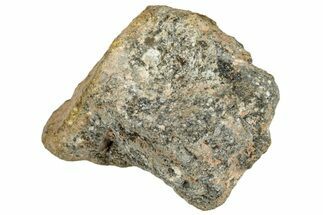 Howardite Meteorite ( g) - Bechar #286993