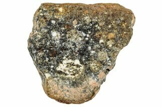 Howardite Meteorite ( g) - Bechar #287021