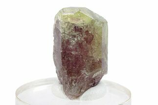 Lustrous Vesuvianite Crystal - Jeffrey Mine, Canada #287059