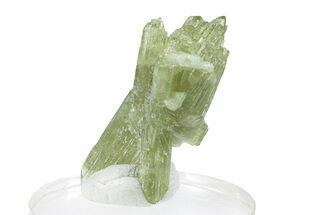 Lustrous Vesuvianite Crystal Cluster - Jeffrey Mine, Canada #287061